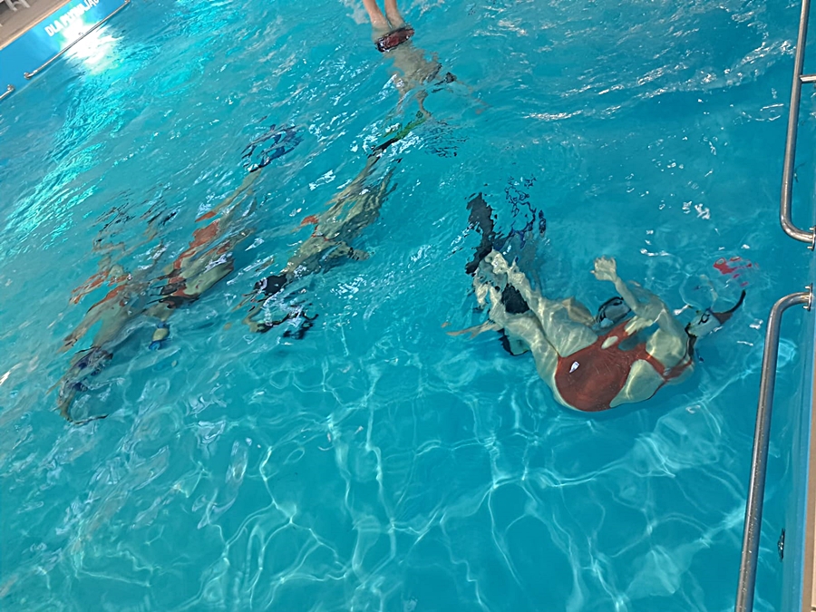 Hokej pod wodą Walenie Siemianowice Śląskie Trening 7 I 2023